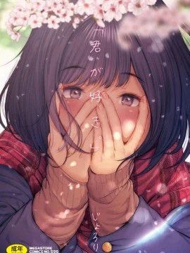 君が好き，好喜欢你